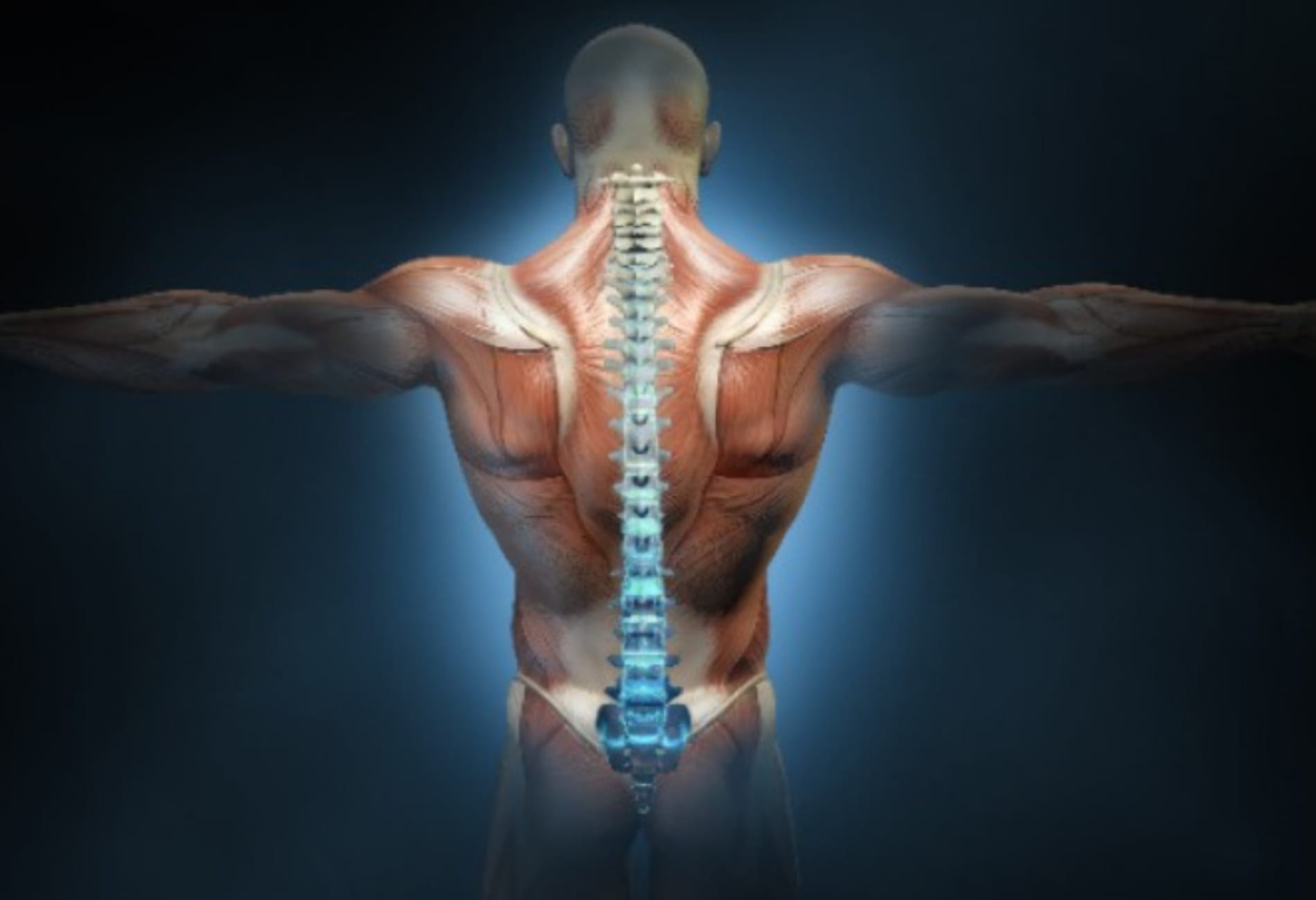 foto de coluna vertebral