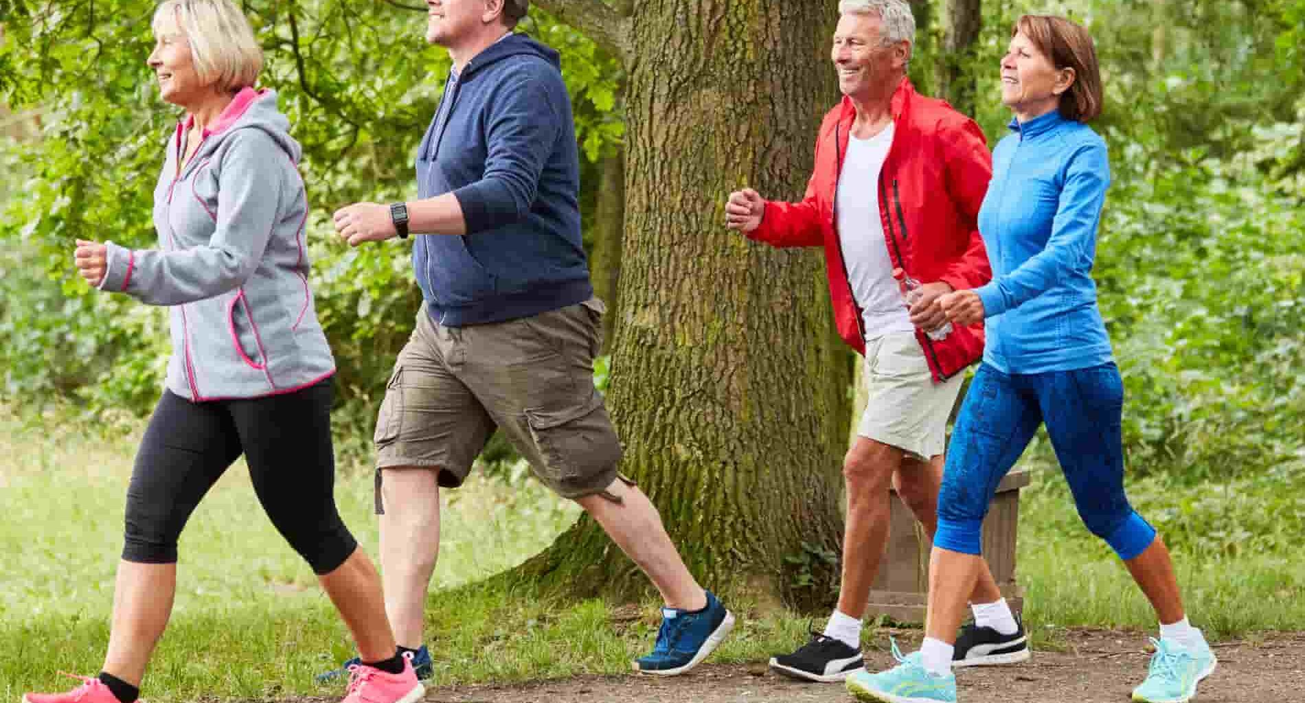 Um grupo de idosos ativos caminhando em um parque, demonstrando os benefícios de um tratamento de coluna eficaz para a mobilidade.